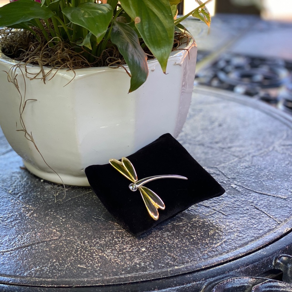 Vintage Dragonfly Pin
